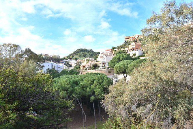 Spanish Civil War Private Walking Tour in Malaga - Why the guide matters: Juan Diego’s research-led storytelling