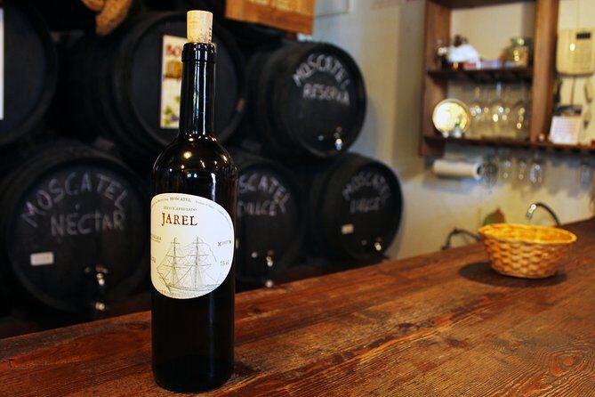 Sun and Wine Route - Small group, wine tasting and tapas included - From Málaga Coast Up Into Cómpeta