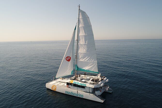 Sunset or night catamaran tour from Malaga - Sunset Vibes: Cava Included and the Onboard Music Mood