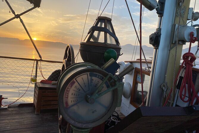 Sunset Sailing Experience in Estepona - Where You Board: Estepona’s Marina Feel (Near the Marbella Side)
