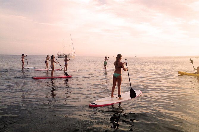 Sunset SUP Tour in Marbella - Sunset SUP in Marbella: Why the marina-to-coast plan works