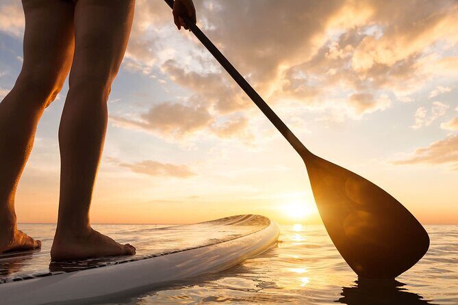 Sunset SUP Tour in Marbella - Meeting at NaluSurReal Club Marítimo: setup without the hassle