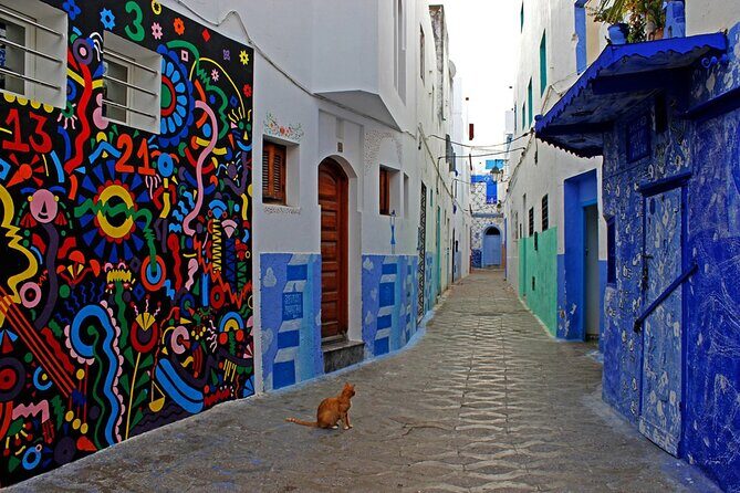 Tangier & Asilah Private Tour with from Malaga or Marbella - Tangier Casbah: the UNESCO walled heart you can actually understand