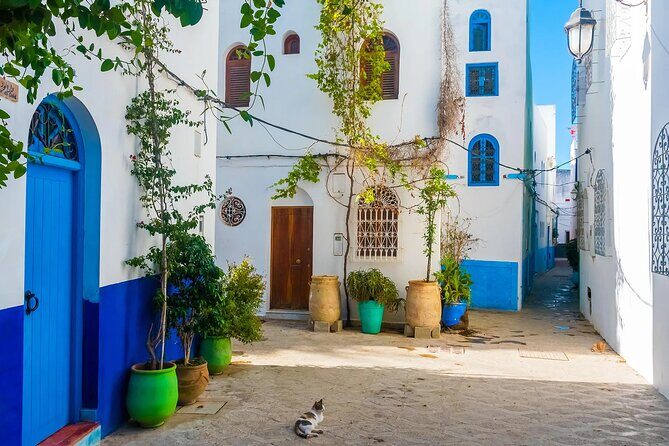 Tangier & Asilah Private Tour with from Malaga or Marbella - Tangier Medina: an open-air museum for shopping and street scenes