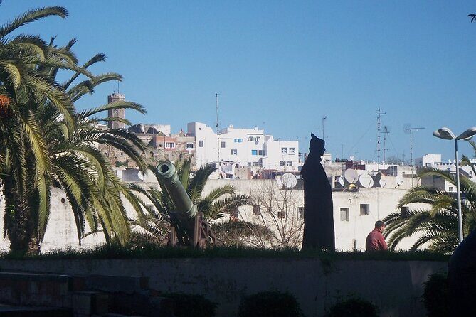 Tangier & Asilah Private Tour with from Malaga or Marbella - The guide and camel ride: how the private format changes everything