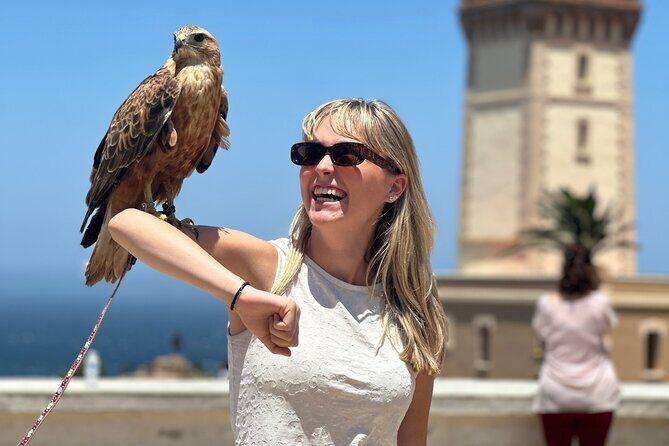 Tangier Luxury Private day trip from Malaga All inclusive - From Mosque Mohammed V to the Medina: Stop-by-Stop Tangier in One Day