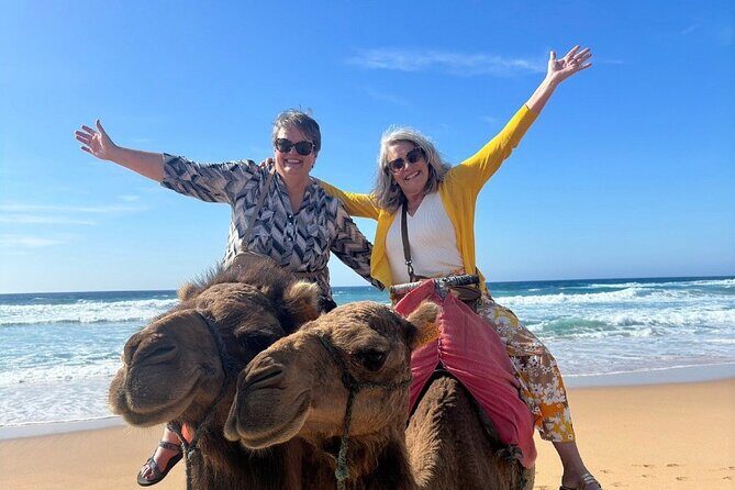 Tangier Luxury Private Guided Day Tour from Malaga All Inclusive - Royal Tangier sights: Mohammed V Mosque, Marshan Palace, and the Casbah