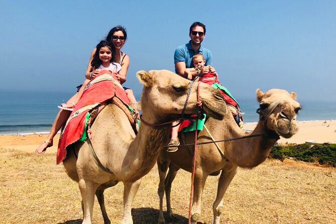 Tangier Private Tour from Malaga or Marbella w/ guide and driver - Getting to Tarifa: the part you’ll appreciate more than you think