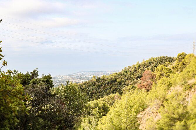 The Monks Trail: Mountain Hiking Adventure In Marbella - Key things to know before you go
