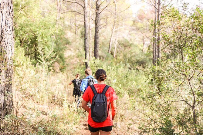 The Monks Trail: Mountain Hiking Adventure In Marbella - Meeting at Sendero Los Monjes: the easiest start point
