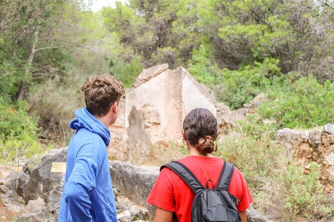 The Monks Trail: Mountain Hiking Adventure In Marbella - The Arroyo de Guadalpín part: where the trail turns scenic and plant-focused