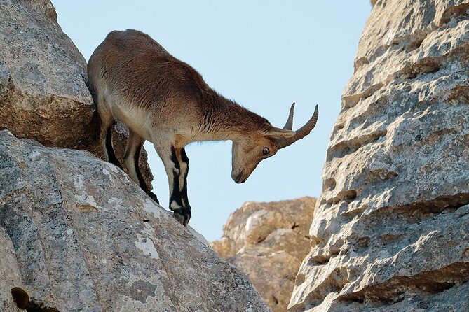 Torcal de Antequera Hiking Tour from Málaga - The 3-Hour Hike: What the Trail Feels Like