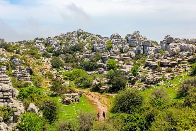 Torcal de Antequera Hiking Tour from Málaga - Timing, Duration, and the Half-Day Style Win