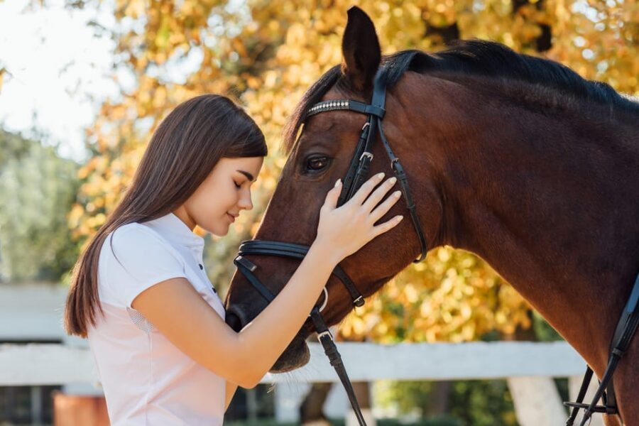 Torremolinos: Guided tour to stables of El Ranchito - Key highlights at El Ranchito’s stables tour