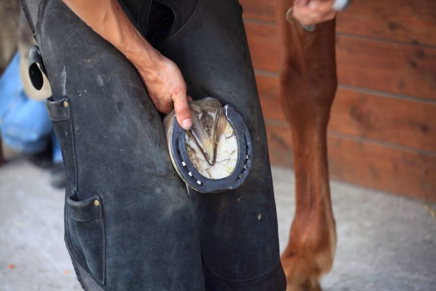 Torremolinos: Guided tour to stables of El Ranchito - Practical stuff: price, inclusions, and what’s not covered