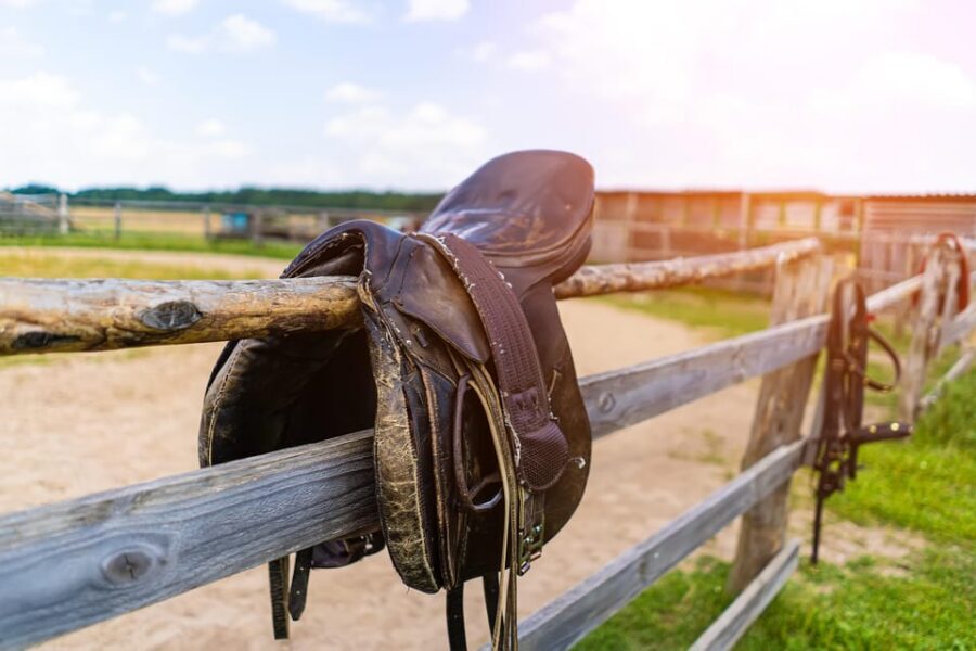 Torremolinos: Guided tour to stables of El Ranchito - Wheelchair access and animal allergy reality check