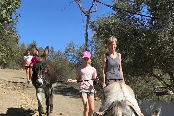 Tour the Sanctuary and Walk with the Donkeys and Share their Love - The Donkeys’ Walk: Countryside Time with Real Rescue Personalities