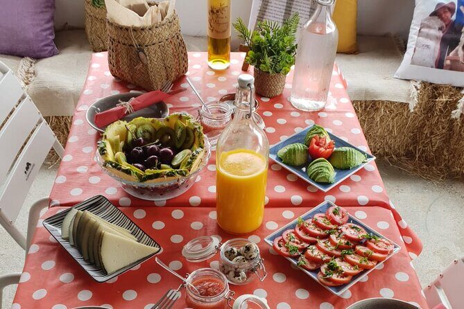 Tour the Sanctuary and Walk with the Donkeys and Share their Love - The Brunch: What You Get and Why It Feels Like Part of the Experience