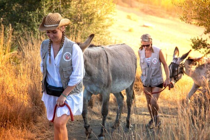 Tour the Sanctuary and Walk with the Donkeys and Share their Love - Logistics You Should Plan For (So the Morning Flows)