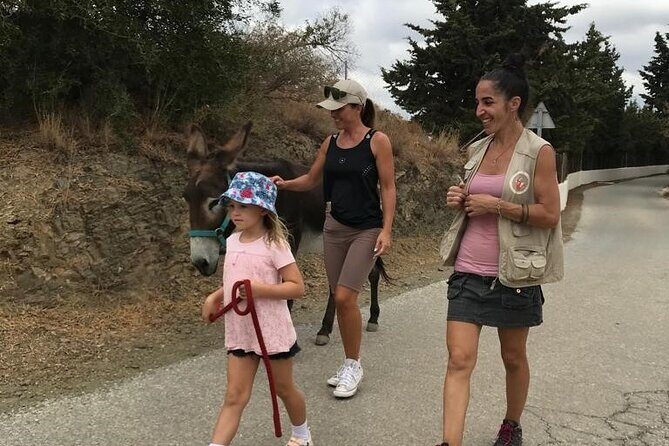 Tour the Sanctuary and Walk with the Donkeys and Share their Love - Who This Tour Suits Best (And Who Might Want Something Else)