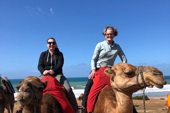 Vip Full Day Private Tangier Tour From Malaga All Inclusive - Caves of Hercules: Two Openings and the Map of Africa