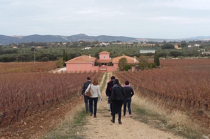 VIP Ronda Wine Tour and Tasting and Gourmet Lunch Experience with Winemaker - Tastings done right: from tapas to wine pairings with the people who make it
