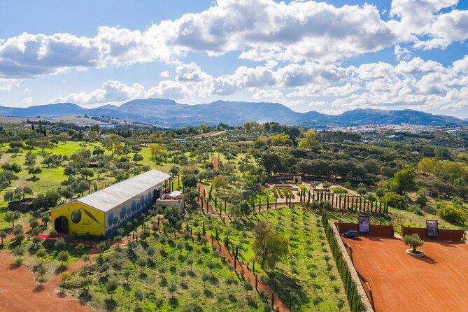 Visit Oil Mill Museum and Olive Oil Tasting in Ronda - Key things I’d plan for at LA Organic in Ronda