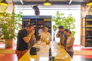 Visit Oil Mill Museum and Olive Oil Tasting in Ronda - The greenhouse start: video, oil mill, tasting rooms, and terraces
