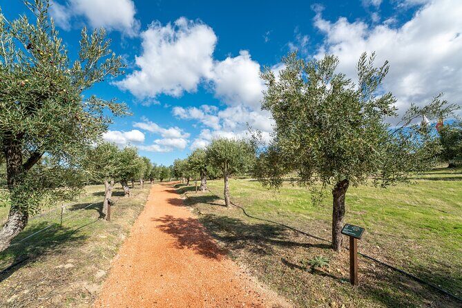 Visit Oil Mill Museum and Olive Oil Tasting in Ronda - The museum on-site: art context and extra time to look closely