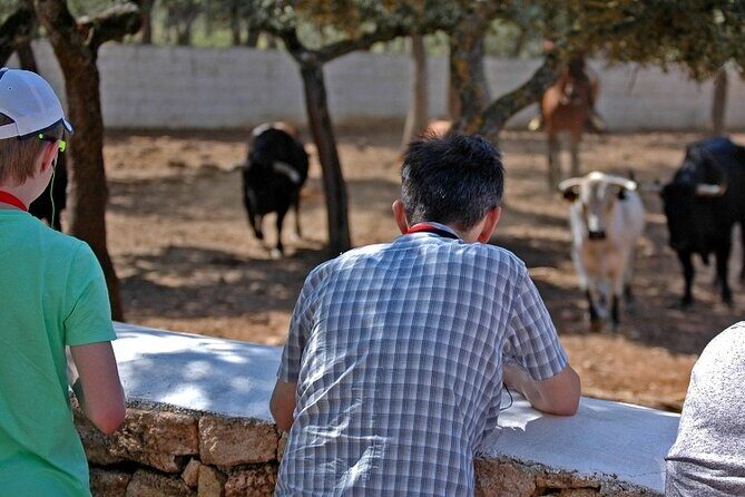 Visita Entre Toros y Caballos - Bullfighter practice ring: capote and muleta, and that hands-on training moment