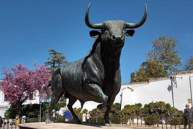 Visita Guiada Ronda - Price and value: what $239.65 per group really buys