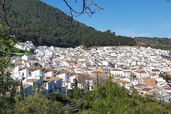 Wine & Tapas tour by electric bike (e-bike) including Ronda pickup (full day) - Price and value: what you’re paying for