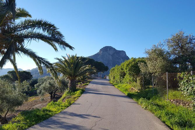 Wine & Tapas tour by electric bike (e-bike) including Ronda pickup (full day) - Weather and timing: when to plan your day